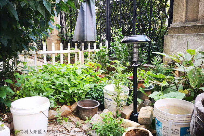 戶外滅蚊親測：滅蚊燈效果怎么樣？到底有用嗎